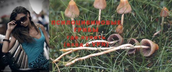 MESCALINE Алексеевка