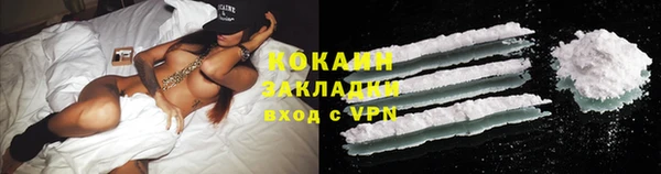 кокс Алексин
