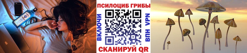 Псилоцибиновые грибы мицелий  хочу   Александровское 